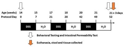 Intestinal Barrier Dysfunction in the Absence of Systemic Inflammation Fails to Exacerbate Motor Dysfunction and Brain Pathology in a Mouse Model of Parkinson's Disease